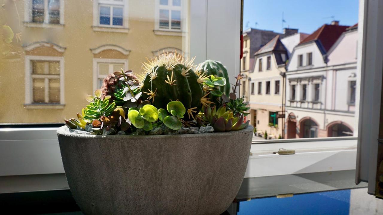 אופולה Apartament W Samym Sercu Opola 2 מראה חיצוני תמונה